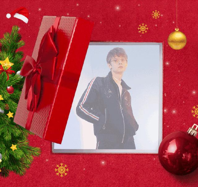 阜阳虐猫事件国外媒体评论,狗虐狗事件