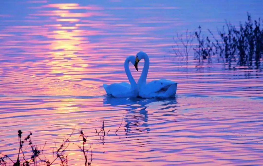 最具幸福感的县级市中唯一一座上榜的北方小城，光是海鲜就能吃到你激灵！