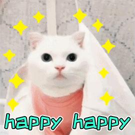 猫癣传染给人怎么办能治愈吗,猫癣给人传染了怎么办