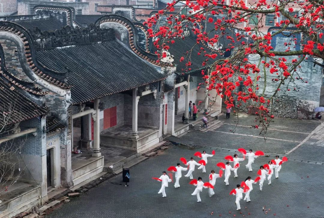 什么是广州市区,什么是桃子女孩