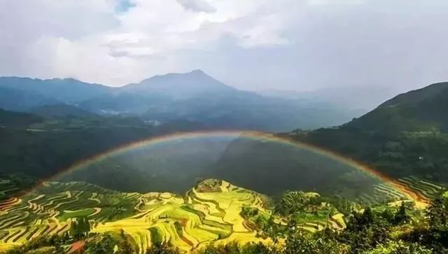 青田省级森林城镇,青田城市环境