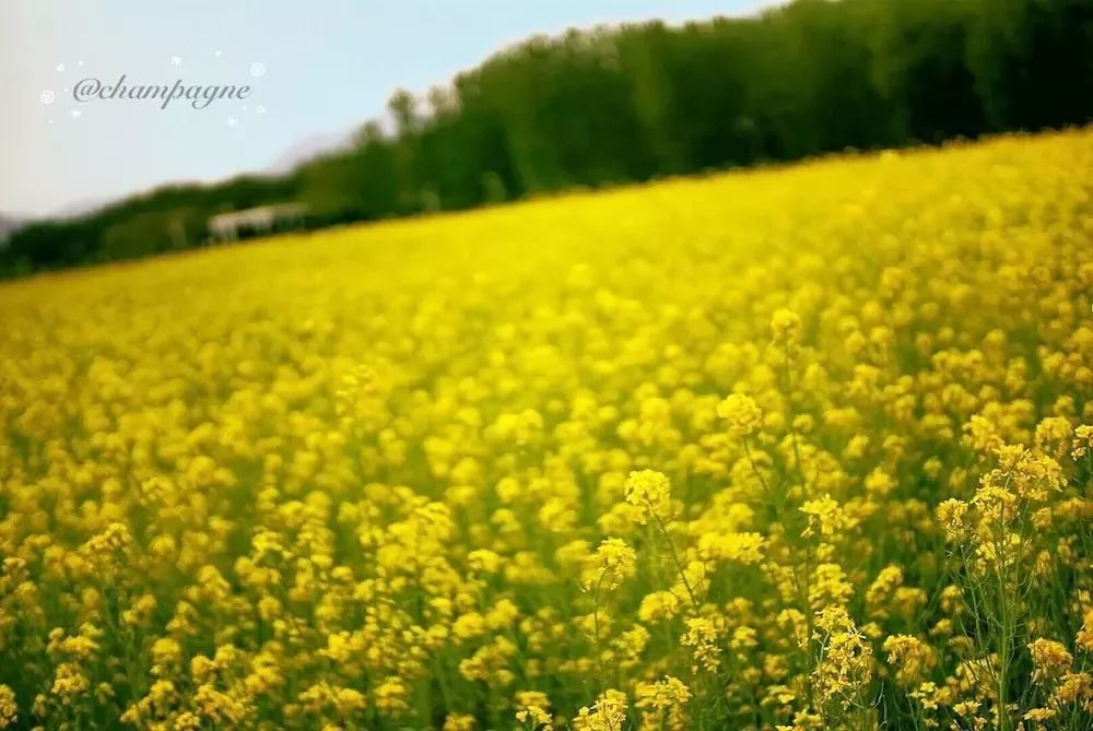 摄影学会了能拍什么,摄影到底应该拍什么