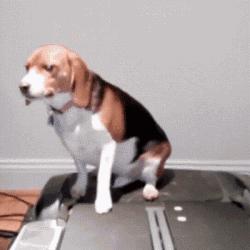 网购跑步机,半数不合格,小心健身变伤身!