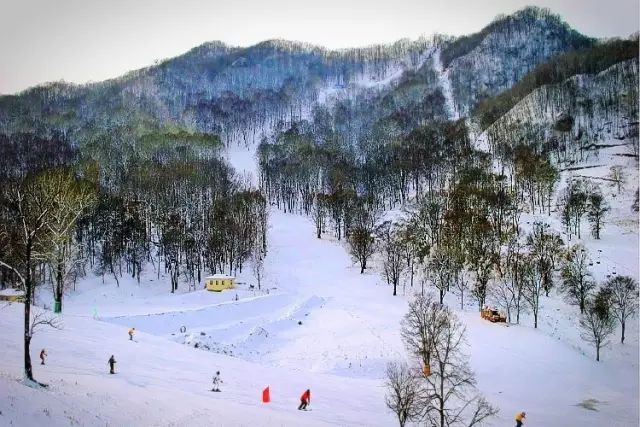 29.9元！雪圈+滑雪全天不限时4S级雪场高品质！