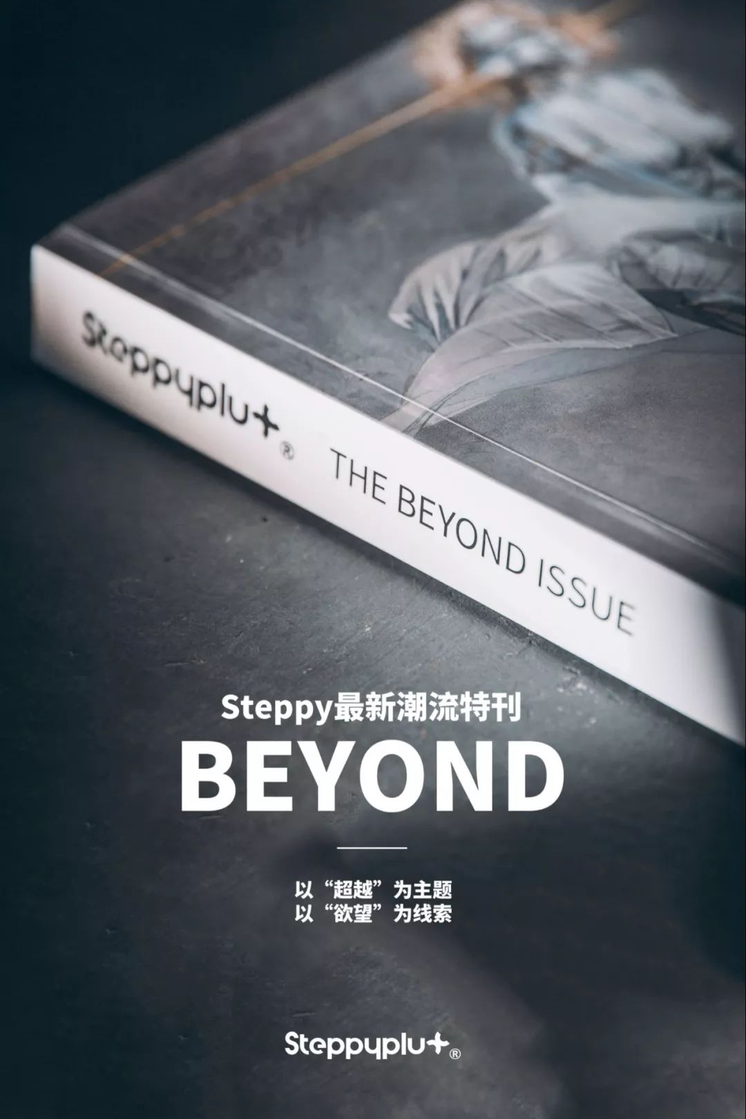 年度最佳潜力品牌荣誉,年度最佳品牌奖