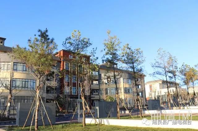 陆良一中景色照片,陆良一中校园风景