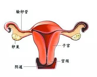 异地恋、姐弟恋陆续见光死,女人如何掌舵成为幸福操盘手?