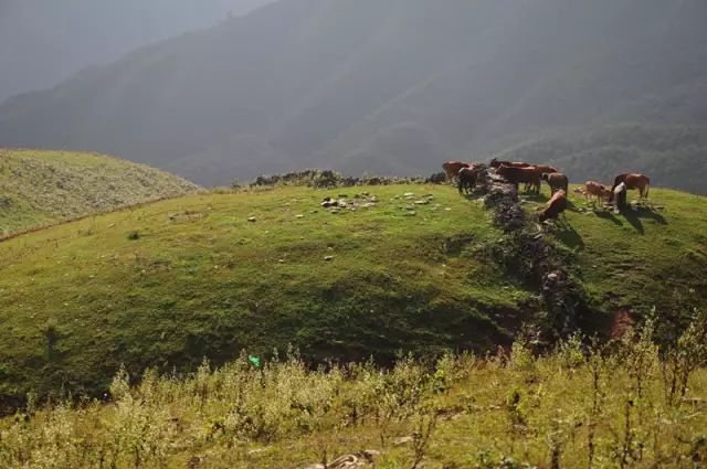 黔东南州5a级景区是哪个,黔东南州凯里碧波花诗园旅游景区