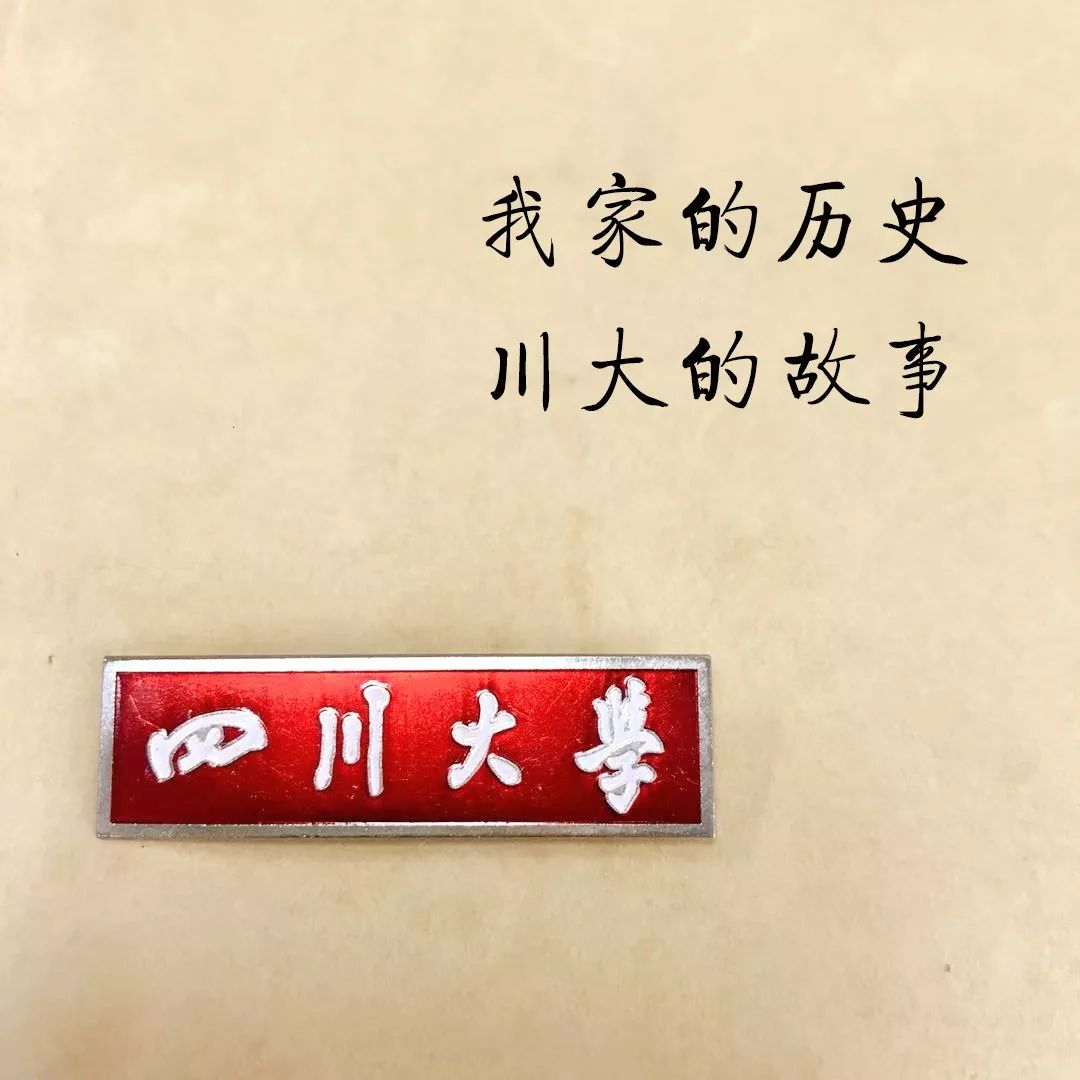 我家的历史,我家的故事摘录