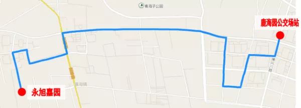 注意！本周末，北京这些公交线路有调整！