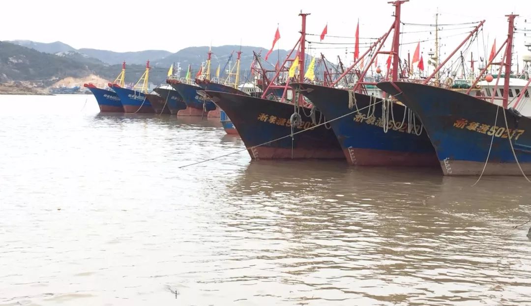 浙江石浦古镇旅游攻略,石浦文化渔村