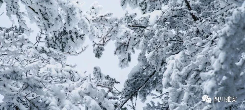 「火车终于通了」有人已经买到票，票价52/83，请下单！（久等了）