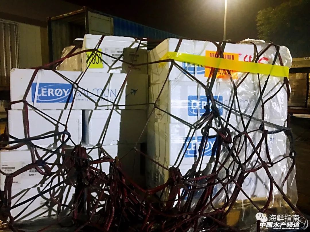 进口的三文鱼是新鲜的还是冷冻的,正宗挪威三文鱼购买渠道