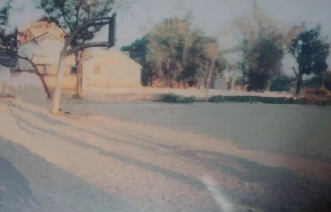 这可能是叠滘踢足球最犀利的小学！95岁“高龄”，宝刀未老！