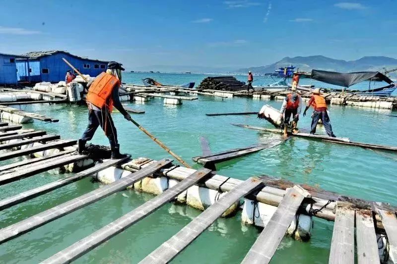 这里是宁德,这里是福建