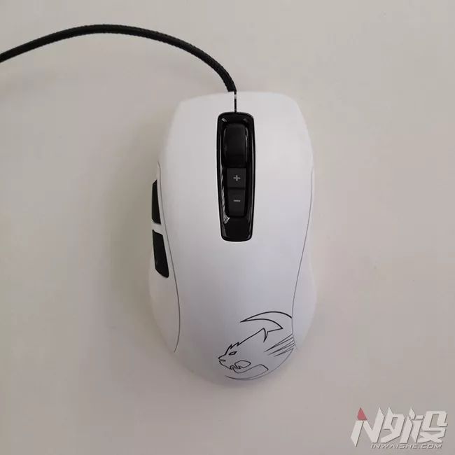 白冰豹子,黑冰和白冰视频