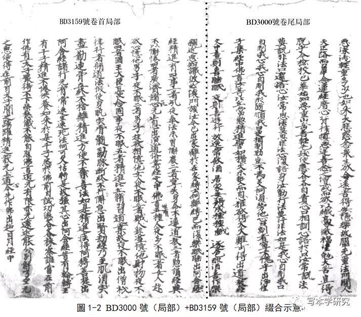 张小艳：敦煌本《众经要揽》研究