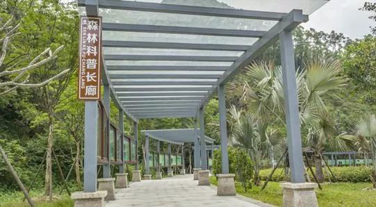 高明网红森林公园,佛山森林公园高明