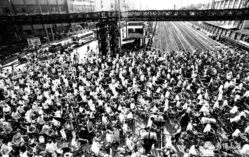 马路道口菱形标志,马路道口鬼探头