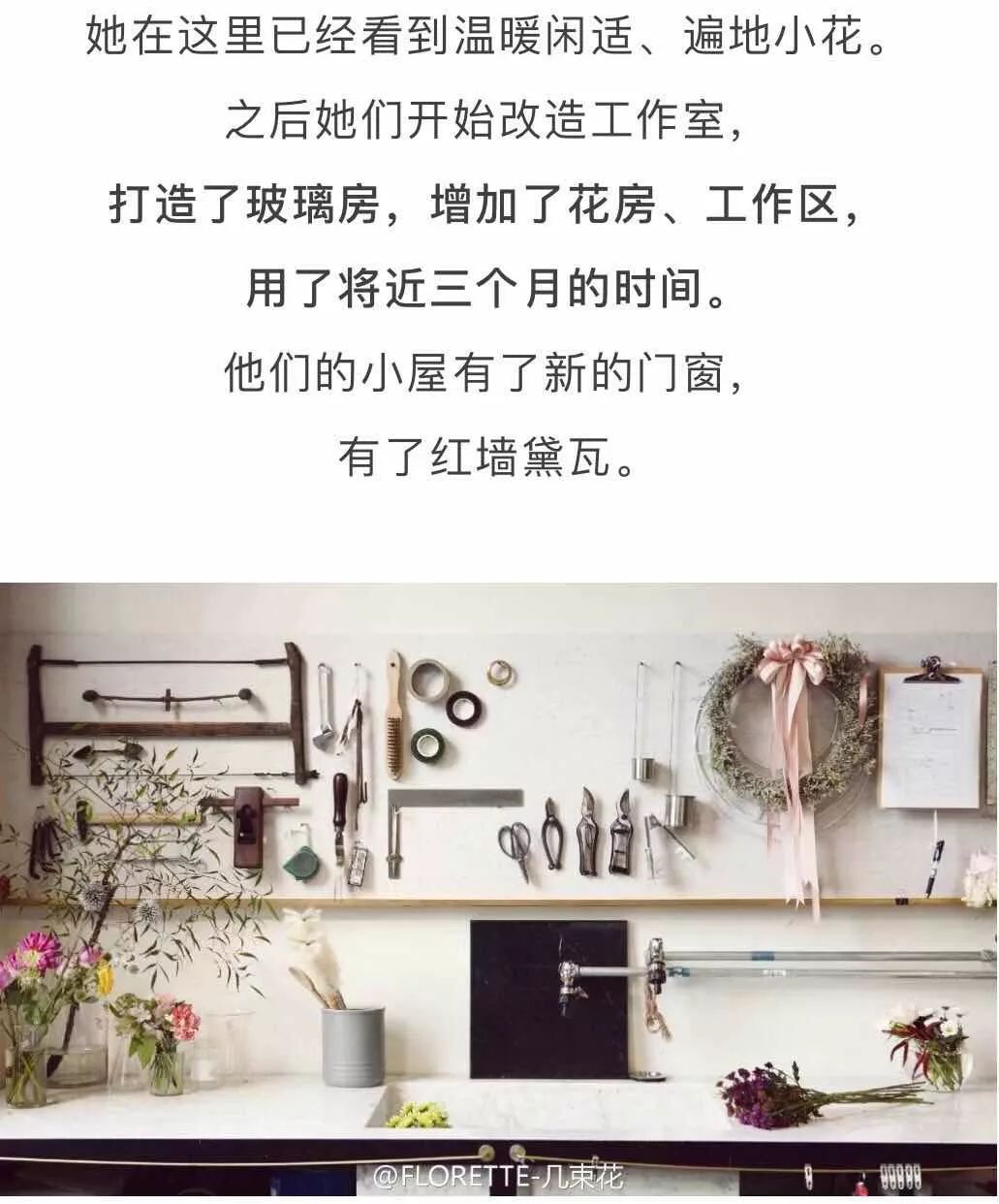 北京才女徐静蕾,徐静蕾李亚鹏北京台