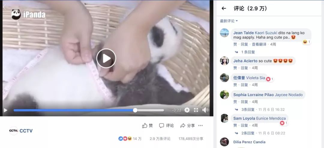 老外到底多喜欢熊猫,老外看中国大熊猫