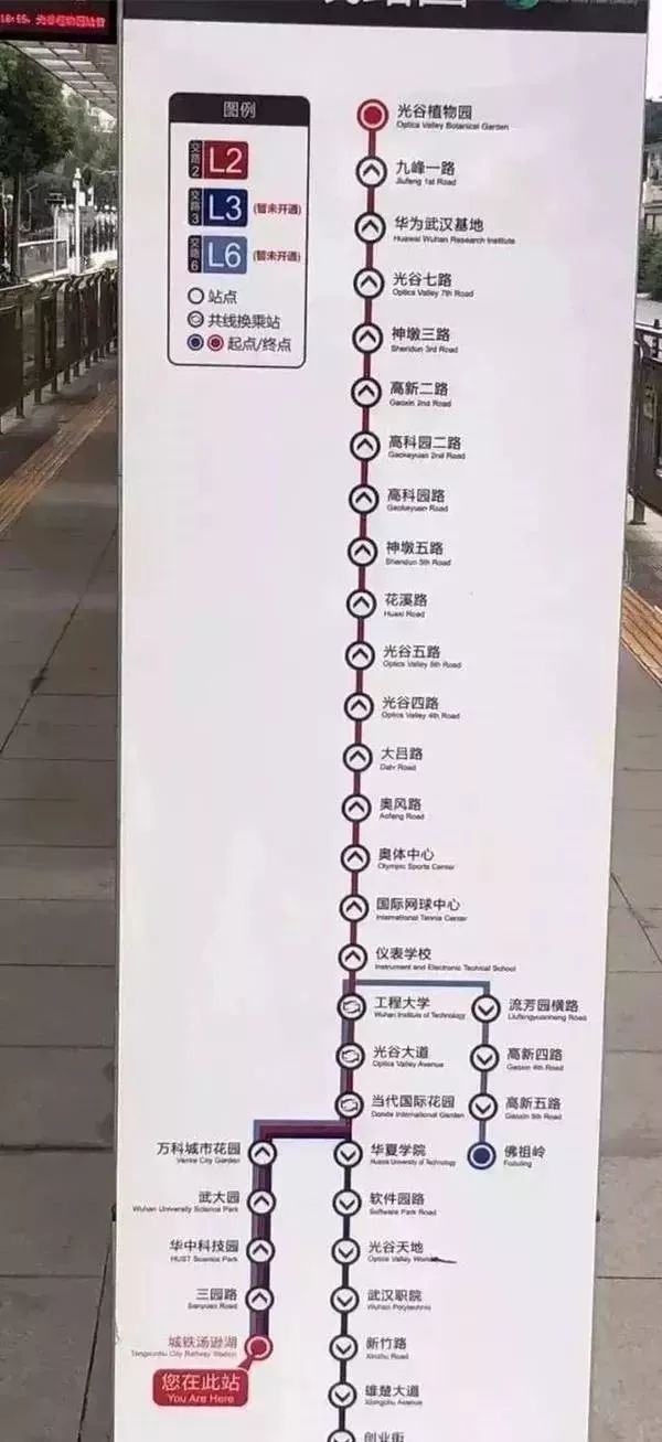 一些武汉的好消息,好消息湖北武汉