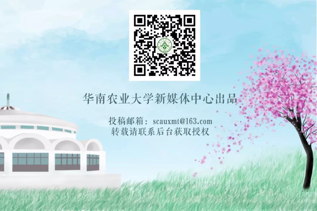 华农最“辣”博士：吃世界上最辣的椒，他还想研究辣味土豆？