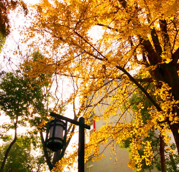 下关十二中怎么样,下关区十二中