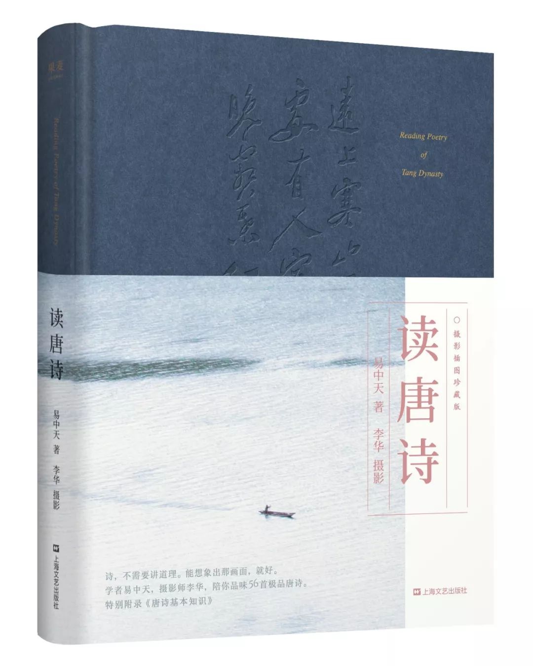 老外多爱猫咪,老外多爱中国