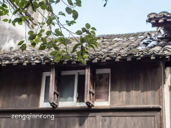 枕水江南梦回乌镇完整版,乌镇的似水流年