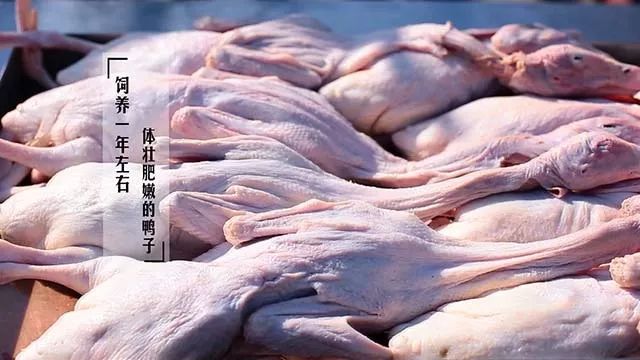 食神家宴酱鸭750g,食神酱鸭