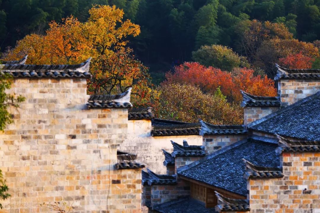 苏州高铁可达的旅游线路,苏州一日游免费景点最佳路线