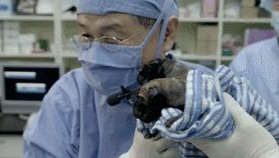 近期网上能看的十部好片,好看的好片推荐一下