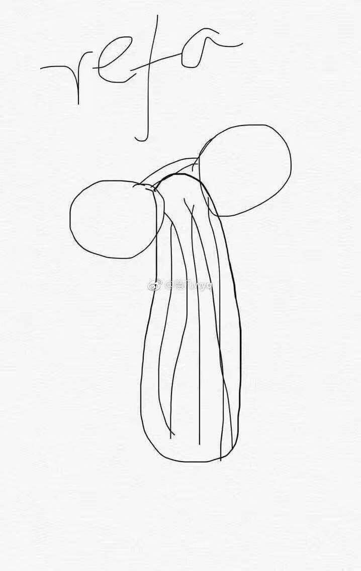 一夜之间，不会画画都不好意思做代购了！