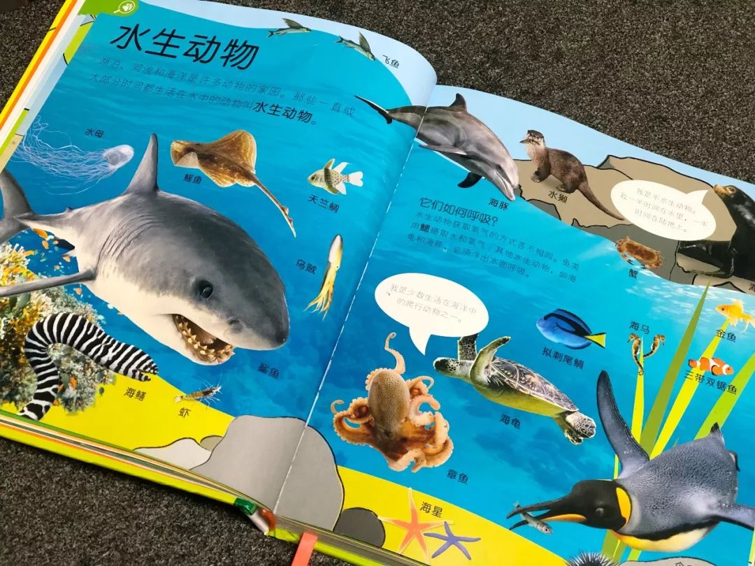 现在的孩子真是不知道怎么想的,现在的孩子真的是脑洞大开