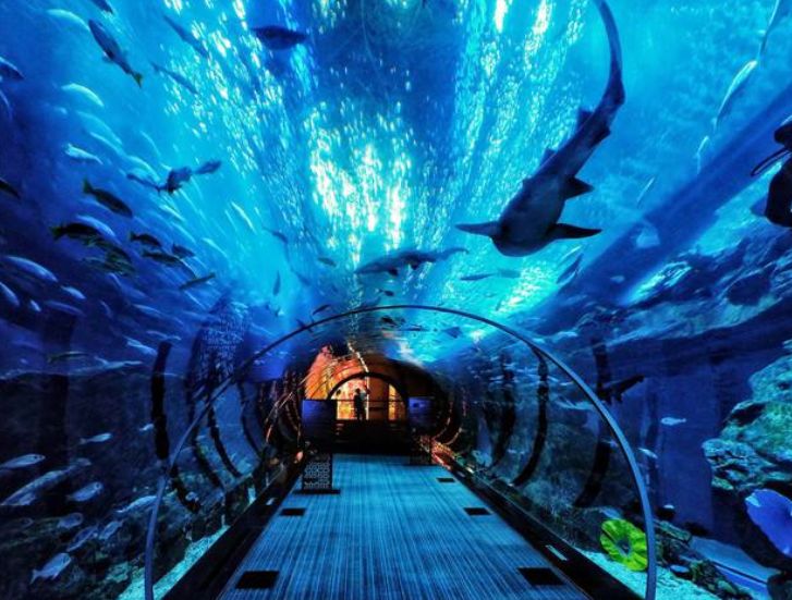 济青高铁青岛段新消息,济青高铁什么时候开通