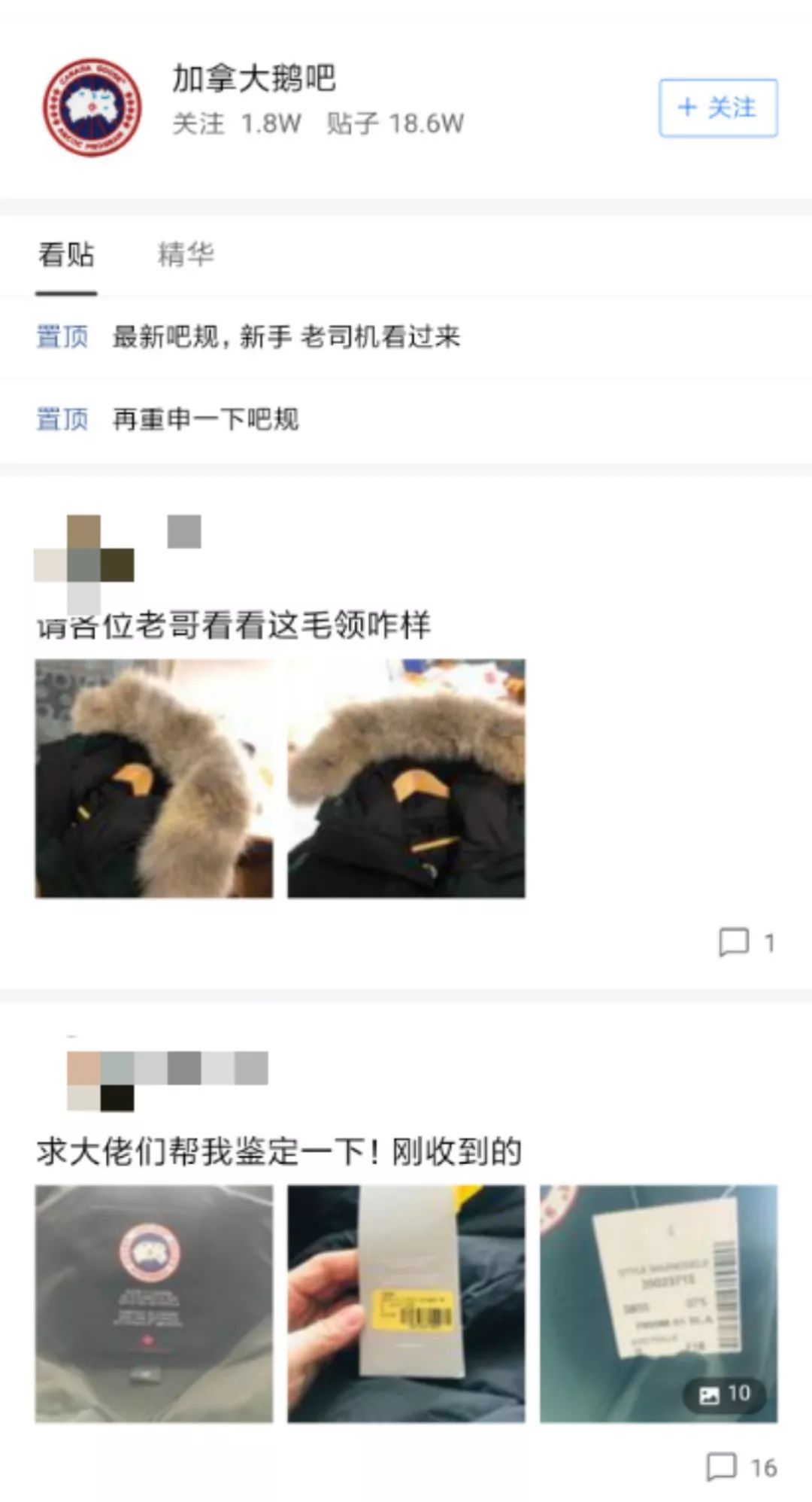 网易考拉上买的加拿大鹅羽绒服,网易加拿大鹅正品