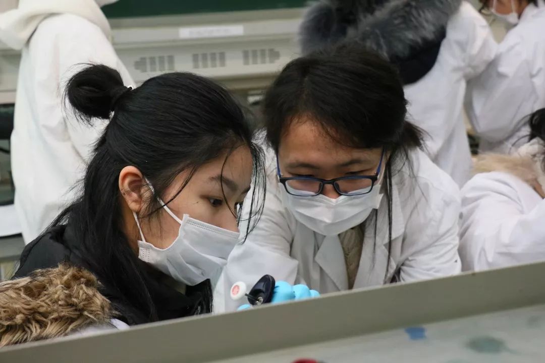 在学生心里播下一颗中医药的种子上海中医药大学中医药实践工作站