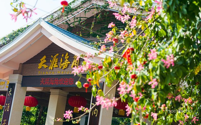 五天四晚三亚自驾,五天四晚三亚旅游路线