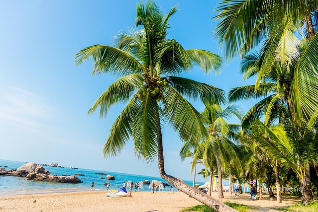 五天四晚三亚自驾,五天四晚三亚旅游路线