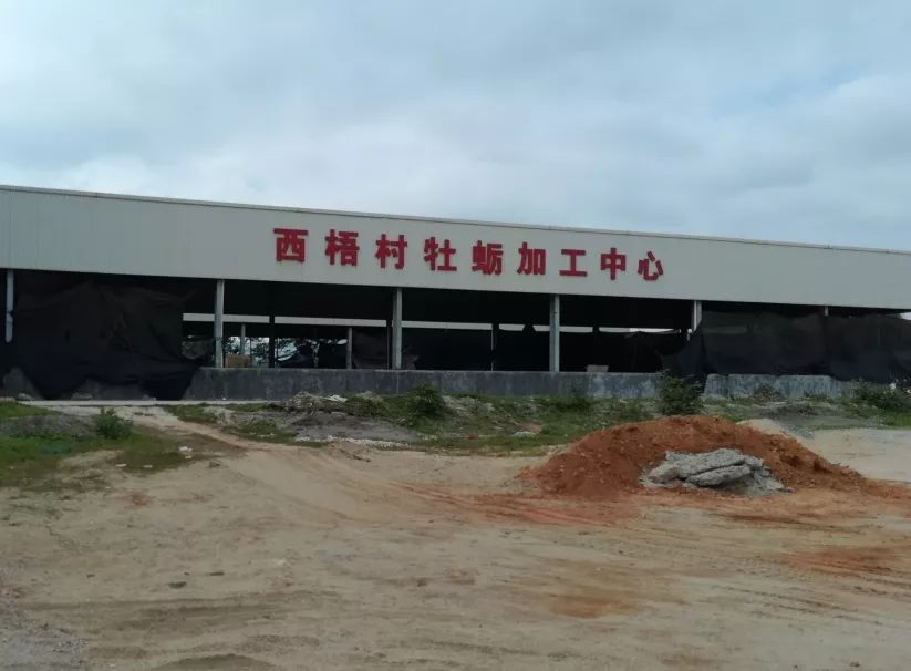 牡蛎碳酸钙颗粒的危害,牡蛎碳酸钙片副作用