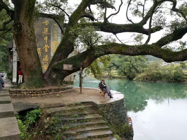 婺源民宿十佳排名婺源流苏小筑,婺源必去的三个景点民宿推荐