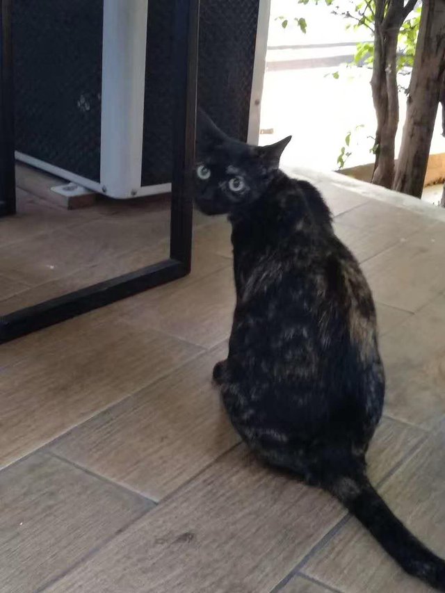 泰国曼谷芭提雅普吉岛自由行,自由行曼谷普吉岛芭提雅