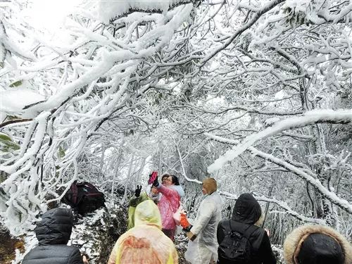 迎风起航奔跑追梦——2018年南宁旅游十大新闻
