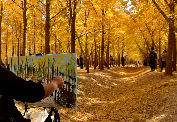 滨州摄影师葛珍君：记录风景和变化记录亲情和友谊