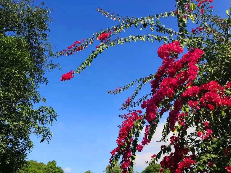 元江高端酒店有哪些,元江经济型酒店推荐