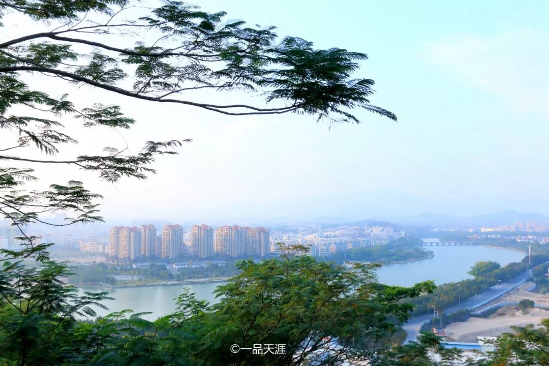 漳州大v排行,大v推荐传奇