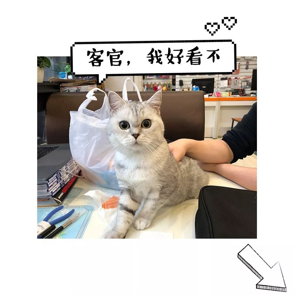 rg海盗高达x1官方售价,海盗高达rg发售价