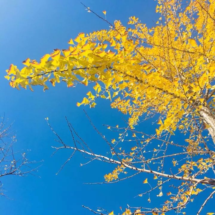 真正的紫砂壶最便宜的多少钱,直供紫砂壶价格表