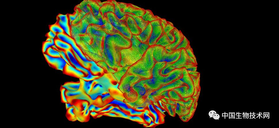 混合性痴呆致病因素,炎症会导致痴呆吗